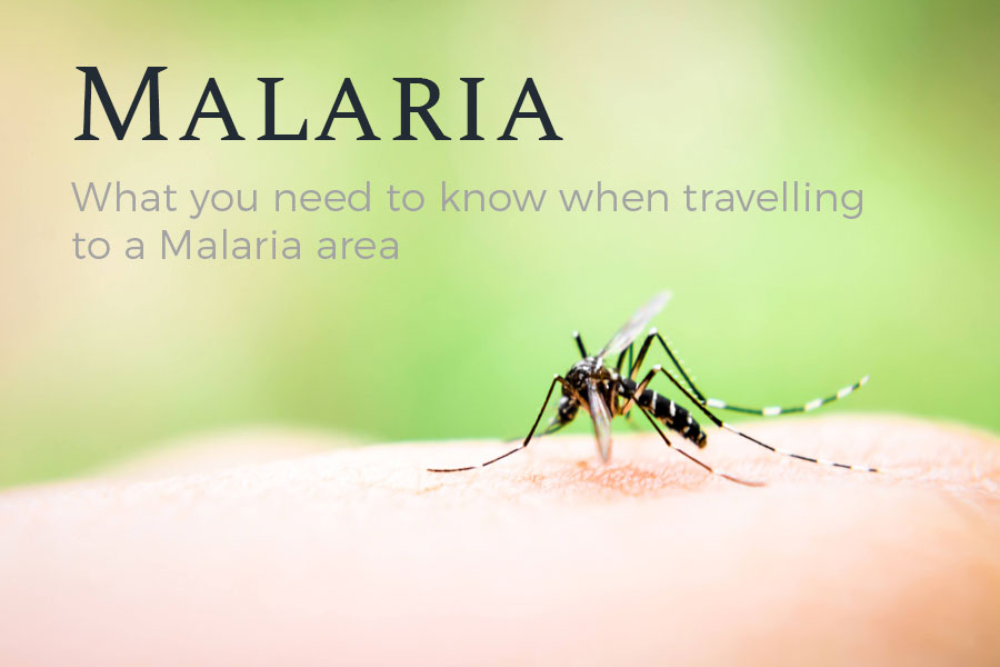 What You Need To Know About Malaria